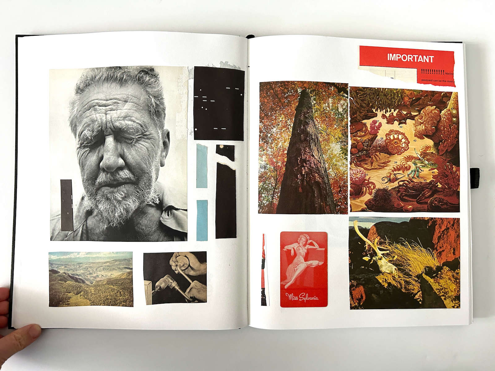 One Hundred Pages collage 9