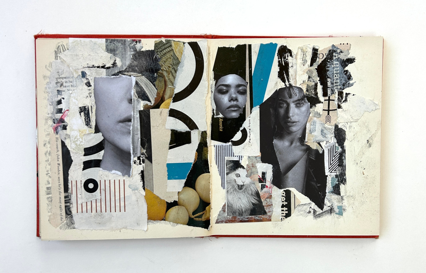 Vintage Collage Book page 9